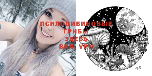 эйфоретик Баксан