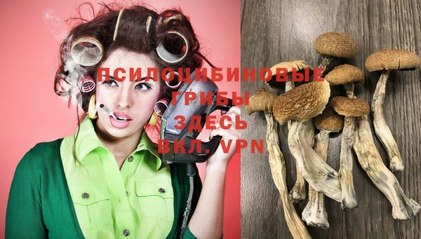 эйфоретик Баксан