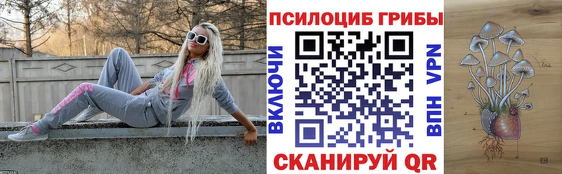 Галлюциногенные грибы Psilocybe  цены наркотик  MEGA как войти  Почеп 